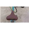 Image 8 : Suede by Liv 7 Speed Pedal Bike 25'' - New Condition Cool Colors 