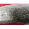 Image 2 : Vintage Inuit Soapstone Signed 8'' Seal
