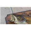 Image 2 : Pickeral Mount Fish 24'' 