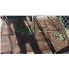 Image 8 : Locking Cage Metal/Wire with Locking Door and Shelf 70'' x 48'' x 72'' 