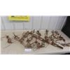 Image 1 : 20 Leg Traps - Some with Springs 
