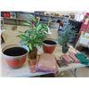 Image 1 : 2 Silk Plants 32'' Tall , 2 Pots, Table Cloths 60'' x 90'' , Napkins 