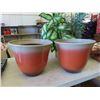 Image 3 : 2 Silk Plants 32'' Tall , 2 Pots, Table Cloths 60'' x 90'' , Napkins 
