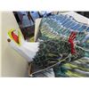 Image 2 : Bird Kite with 9ft Wing Span 