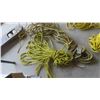 Image 2 : Rope 1/4'' , 1/2'', 3/4'' 