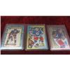 Image 2 : Teemu Selanne Winnipeg Jets Insert Cards , Signed Team Card, Plaque &