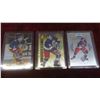 Image 3 : Teemu Selanne Winnipeg Jets Insert Cards , Signed Team Card, Plaque &
