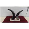 Image 2 : Vintage Pair of Authentic Bull Horn Book Ends on Marble Base - Both 