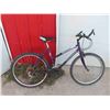 Image 1 : Triumph Encounter Variable Speed Pedal Bike 26'' 
