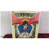 Image 2 : Superman Frame Tray Puzzle