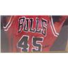 Image 8 : DuPont Framed Picture 18'' x 10'' , Poster 10'' x 16'' #45 Bulls