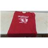 Image 8 : Hockey Jerseys: Steinbach Millers, Canada Hockey Skills, Eastman,