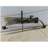 Image 5 : Compound Bow with 10 Arrows 