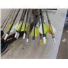 Image 9 : Compound Bow with 10 Arrows 