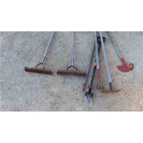 7 Hand Yard Tools : Rake, Scuffler, Edger, Weed Picker & More 