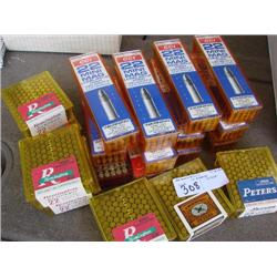 ammunition-22 mini mags, 22 long rifle