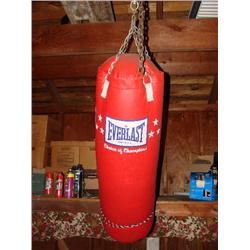 Everlast punching bag