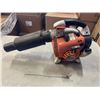 Image 2 : STIHL GAS BLOWER WORKING