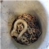 Image 2 : BUCKET OF CHAIN AND LARGE SHACKLE