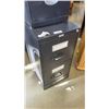 Image 2 : TWO LOCKING FILE CABINETS WITH KEY