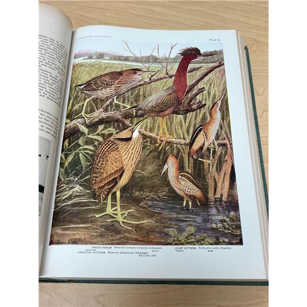 1942 Birds of America Book - see all photos