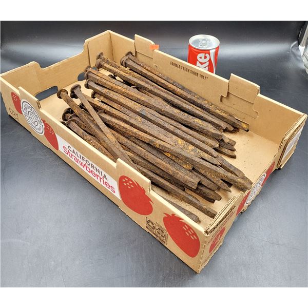 Vintage Square Head Spikes