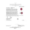 Image 5 : 20.60 ctw Ruby and 2.60 ctw Diamond Ring - 18KT White and Yellow Gold