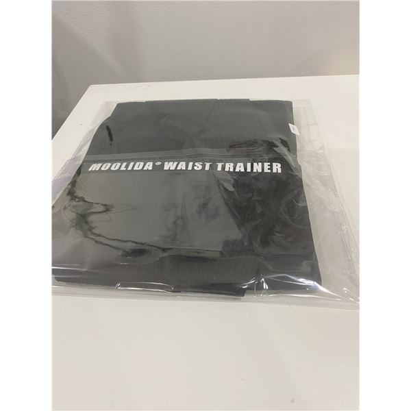 GYM AND TRAINING WAIST TWISTER ABDNOMINIA EXCERCISERS NEW