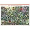 Image 1 : 2010 Hawaiian Rain Forest stamp set of 9