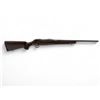 Image 1 : CZ 600 American Bolt Action Rifle 243 Winchester 20" Threaded Barrel Wood Stock, New