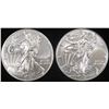 Image 1 : 2019 & 2020 AMERICAN SILVER EAGLES