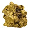 Image 2 : 1.61 Gram Sinaloa, Mexico Gold Nugget
