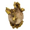 Image 2 : 2.09 Gram Sinaloa, Mexico Gold Nugget