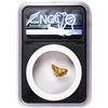 Image 2 : 3.12 Gram Caborca Sonora Mexico Gold Nugget NGC Vaultbox Unvaulted