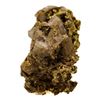 Image 1 : 3.71 Gram Sinaloa, Mexico Gold Nugget