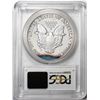Image 2 : 2010-W $1 Proof American Silver Eagle Coin PCGS PR69DCAM Nice Toning