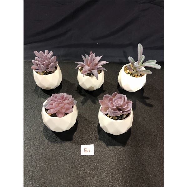 Lot of 5 Small Plastic Plant Succulents - New