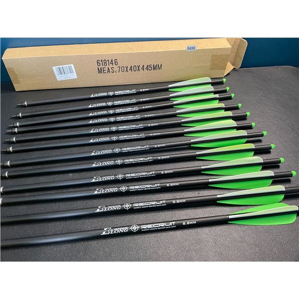 Lot of 1 12-Pack of 20-inch Carbon Crossbow Bolts - Brand New