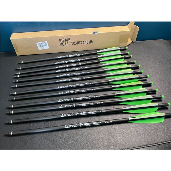Lot of 1 12-Pack of 20-inch Carbon Crossbow Bolts - Brand New