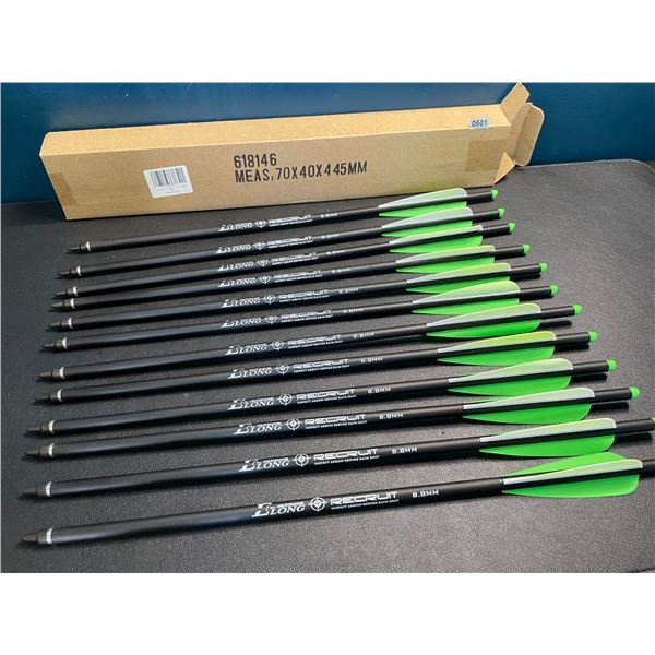 Lot of 1 12-Pack of 20-inch Carbon Crossbow Bolts - Brand New