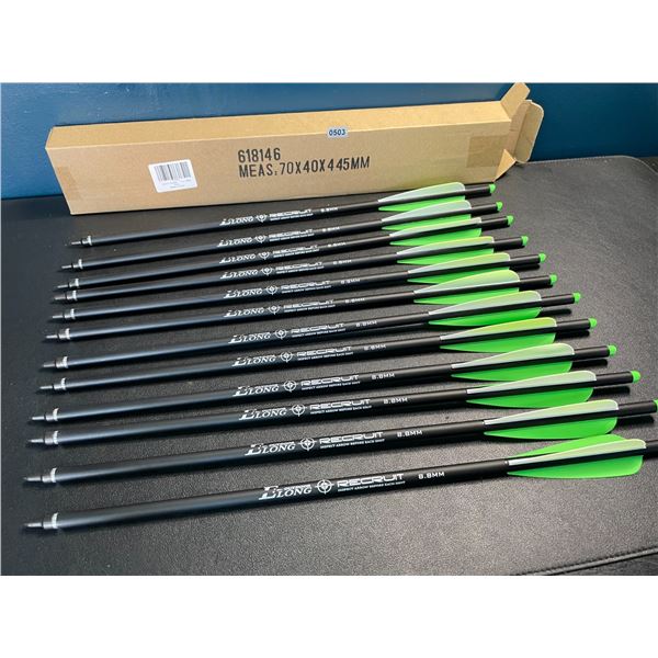 Lot of 1 12-Pack of 20-inch Carbon Crossbow Bolts - Brand New