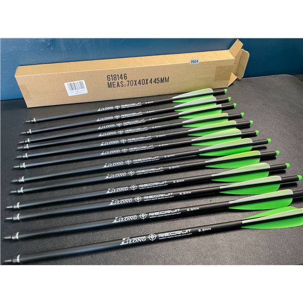 Lot of 1 12-Pack of 20-inch Carbon Crossbow Bolts - Brand New