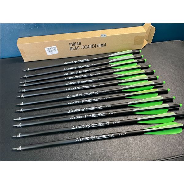 Lot of 1 12-Pack of 20-inch Carbon Crossbow Bolts - Brand New