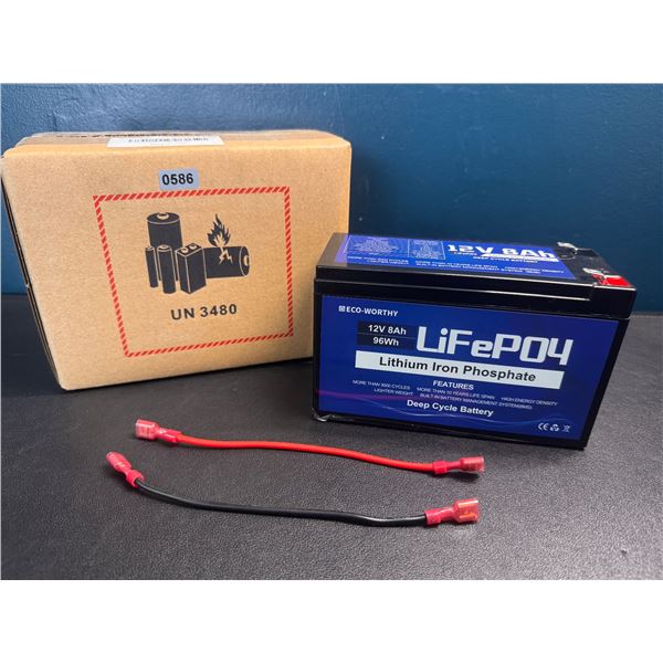 Lot of 1 LiFeP04 Lithium Battery - BRAND NEW