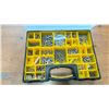 Image 3 : GROUP OF 4 PLASTIC ORGANIZERS WITH CONTENTS - LARGE STAINLESS STEEL FASTENERS/ MACHINE SCREWS