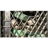 Image 6 : 5 BOXES OF ASSORTED RATCHET TIE DOWN STRAPS, LIFTING SLINGS & BUNGEE CORDS