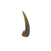 Image 2 : The Cave Monster Claw Movie Props