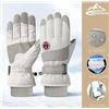 Image 1 : NEW GOLOVEJOY SKIING GLOVES LIGHT GRAY