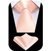 Image 1 : NEW SOLID SATIN COLOR FORMAL NECKTIE AND POCKET