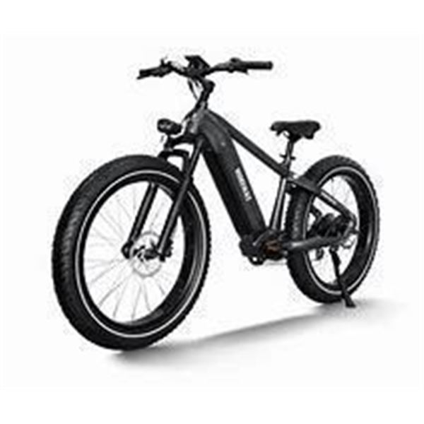Himiway D5 Zebra Electric Bike